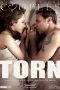 Torn2820122928229