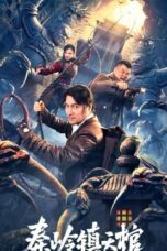 The Sky Coffin in Qinling Town (2023)