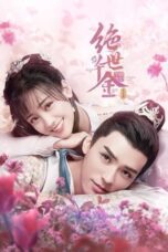 Download Drama China Unique Lady (2020)